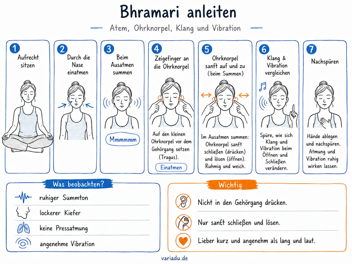 Bhramari-Armung anleiten Sketchnote